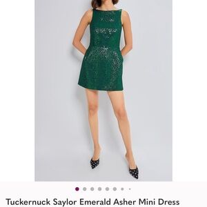 Tuckernuck Saylor Sparkling Green Mini Dress